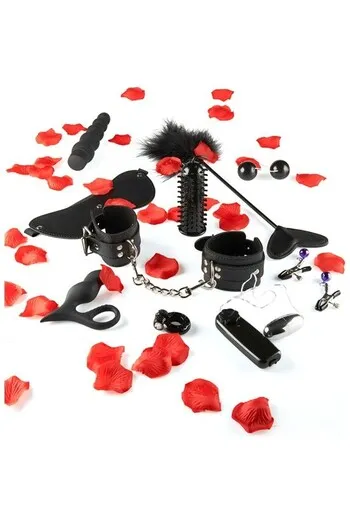 Amazing Pleasure Toy Kit