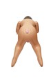Back Door Babe Love Doll