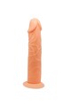 BAILE Dildo Realistico Vive 19,8 cm con Ventosa Colore Naturale