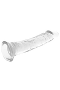 X RAY Dildo Trasparente Clear 21 cm x 4 cm