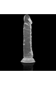 X RAY Dildo Trasparente Clear 21 cm x 4 cm