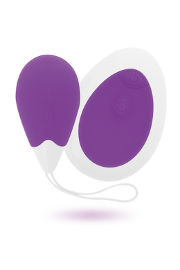 Intense Jan: Remote Control Egg Vibrator for Adventurous Couples