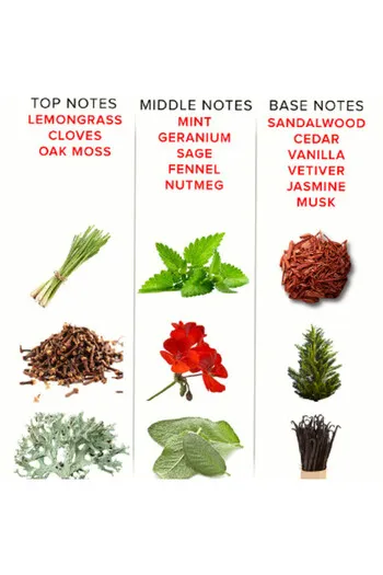 Romantic Pheromone Cologne for Men | Unfailing Attraction