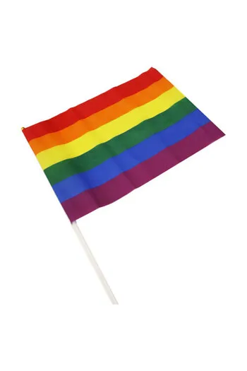 Medium Rainbow Flag LGBT Pennant