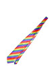 LGBT Pride Tie - Rainbow Flag | Diablo Picante