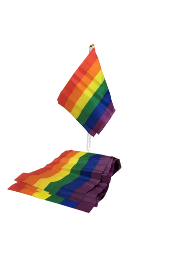 PRIDE - BANDIERA PICCOLA BANDIERA LGBT