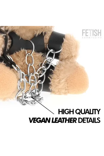 FETISH SUBMISSIVE Teddy Bears: Bold & Unique Collection