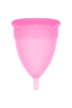 Stercup - Coppa Mestruale Innovativa in Silicone FDA | Igiene Intima Sicura