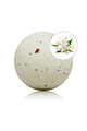 Jasmine Bath Bomb by Taloka - Relaxing Skin Care & Aromatherapy