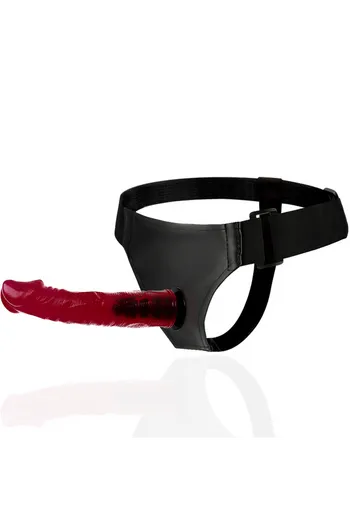 Harness Attraction: La Collezione Completa di Arnesi per Realizzare Ogni Fantasia