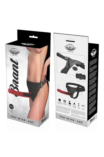 Harness Attraction: La Collezione Completa di Arnesi per Realizzare Ogni Fantasia