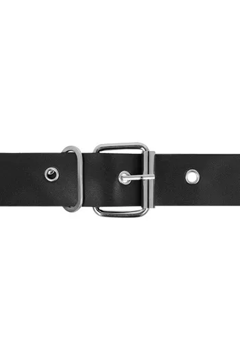 Harness Attraction: La Collezione Completa di Arnesi per Realizzare le Tue Fantasie