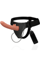 Harness Attraction: The Most Complete Harness Collection to Fulfill Your Fantasies