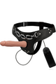 Harness Attraction: The Complete Collection of Harnesses to Fulfill Your Fantasies