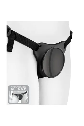 Body Dock: Universal Push-and-Play Harness System for Dildos