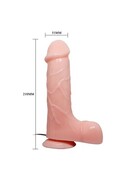 Dildo con Ventosa - Penetrazione Profonda e Realistica