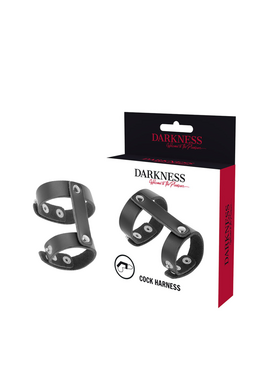 Penis Ring with Testicle Support in Synthetic Leather - Enhance Your Sexual Experience