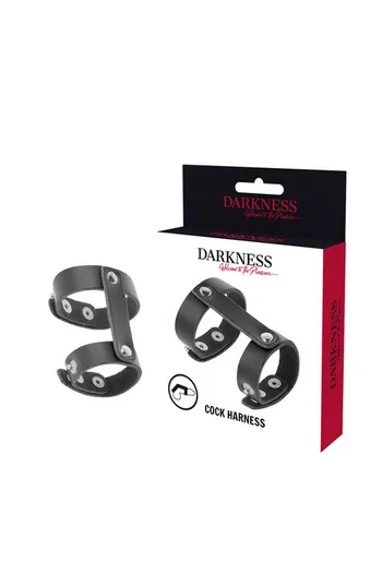 Penis Ring with Testicle Support in Synthetic Leather - Enhance Your Sexual Experience