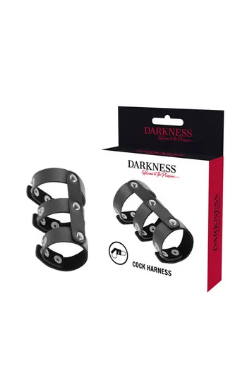 Penis Ring with Testicle Support - Enhance Your Sexual Experience