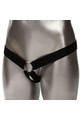 Performance Maxx Harness Extension | CalExotics | +2 Inches Length