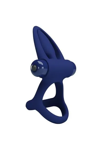 Dolphin Couples Vibrator - 10 Silent Modes | Pretty Love