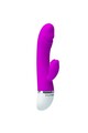 David - Complete Dual Motor Vibrator | Pretty Love