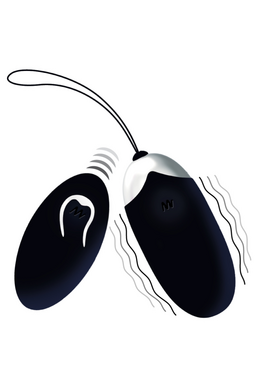 Remote Control Vibrating Egg with 12 Speeds