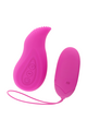 Edgar: Remote Control Clitoral and Vaginal Stimulator