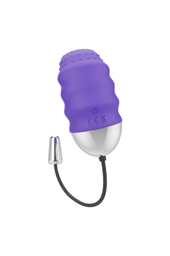DENIS - Premium Remote Control Egg Vibrator for Ultimate Stimulation