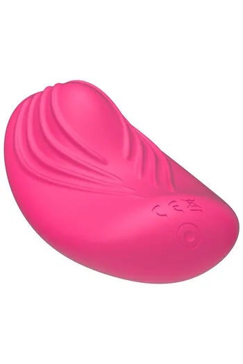 Panty Vibe Control Remoto