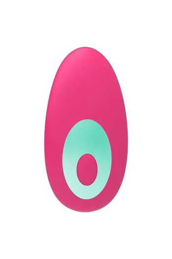 Panty Vibe Control Remote