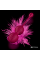 Nisha Rechargeable Vaginal Balls - Strengthen Your Pelvic Floor | Rithual