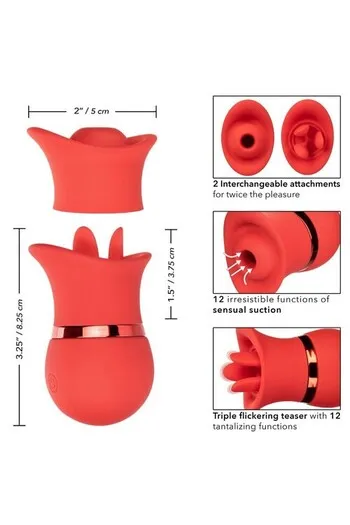 Interchangeable French Kiss Suckers Set - Double Pleasure