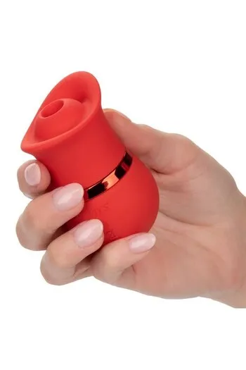 Interchangeable French Kiss Suckers Set - Double Pleasure