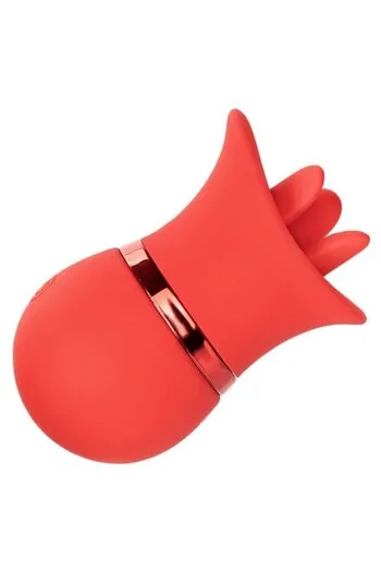 Interchangeable French Kiss Suckers Set - Double Pleasure
