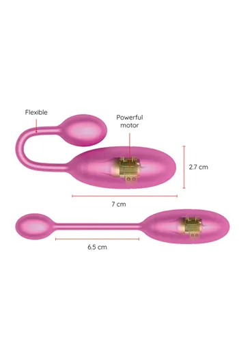 Denver Couples Vibrator: App & Remote Control