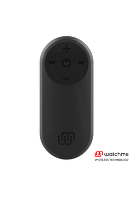 Smart Remote Control for Sex Toys