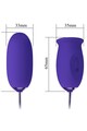 Vibrating Egg with Licking Function: 12 Vibrations + 3 Oral Stimulations