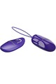 Wireless Remote Control Vibrating Egg - 12 Pleasure Modes for Discreet Fun