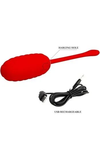 Discrete Vibrating Egg for Couples - 12 Functions, USB Rechargeable