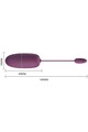 App-Controlled Vibrating Egg: Discreet Pleasure and Pelvic Floor Training