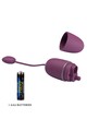 App-Controlled Vibrating Egg: Discreet Pleasure and Pelvic Floor Training