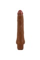 Realistic Dildo Vibrator BW-001072R-1N - Intense and Fleshy Experience
