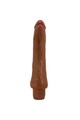 Realistic Dildo Vibrator BW-001072R-1N - Intense and Fleshy Experience