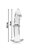 Plug Anale in Vetro Borosilicato - Design e Sicurezza