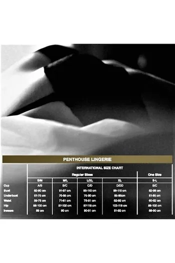 Lingerie Penthouse: Collezione Sensuale e Sostenibile