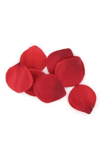 Extase Sensual Kit: Passion, Fantasies and Intense Sensations for Couples