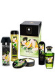 Shunga Sensual Set: Massage Oils & Intimate Creams for Couples | The Garden of Edo
