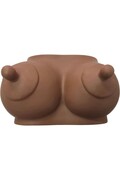 Breast-Shaped Piggy Bank - Save with Humor and Style | DIVERTY SEX