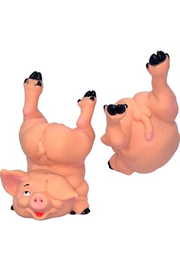 Funny Naked Piggy Bank - Save with Humor and Style | DIVERTY SEX